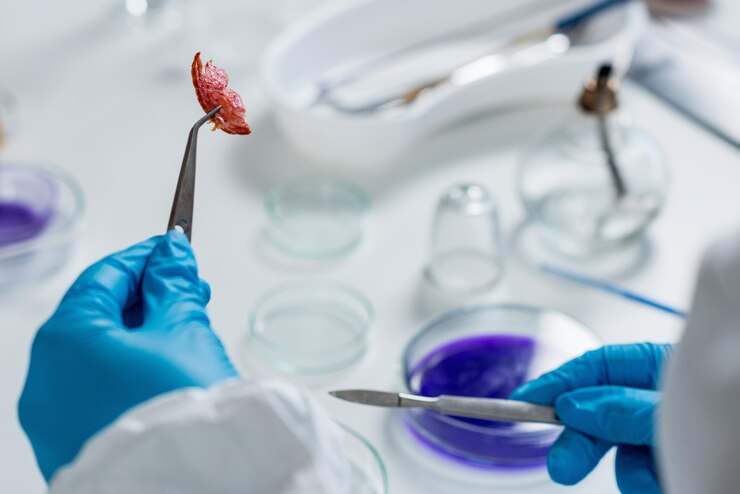 food-safety_798657-7609